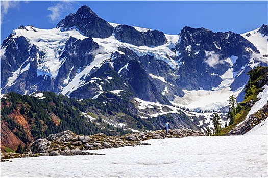 远足,雪原,艺术家,冰河,舒克森山,华盛顿