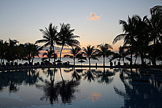 毛里求斯,酒店,棕榈树,游泳池,日落