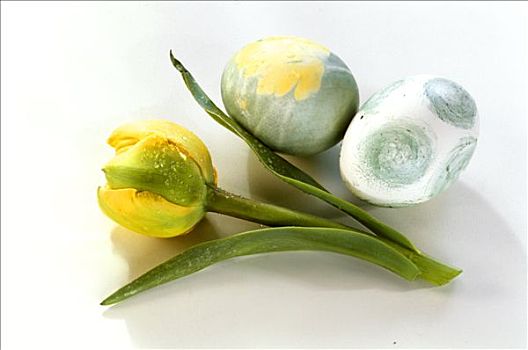 复活节彩蛋,黄色,郁金香