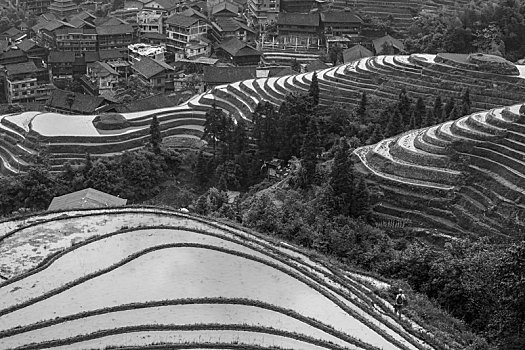 龙胜梯田黑白版画大地行为艺术