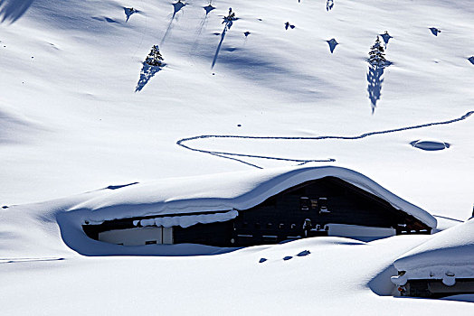 滑雪道,下雪,山,奥地利