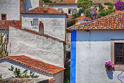 葡萄牙,奥比都斯,俯视图,城镇,红色,屋顶,特别,建筑