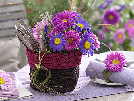 小,编织,篮子,夏天,紫苑属,餐具