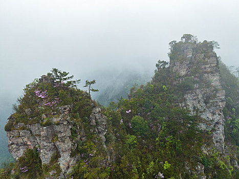 广西金秀圣堂山南山丹霞险峰雾海景观