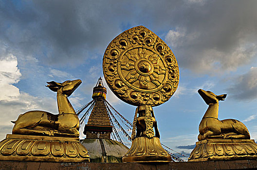 轮子,佛塔,浮图纳特塔,尼泊尔