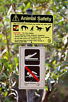 警告标识,动物,禁止游泳,鳄鱼,卡卡杜国家公园,北领地州,澳大利亚