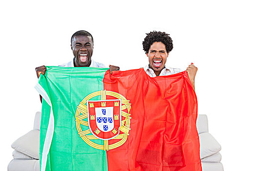 陶醉,葡萄牙,粉丝,坐,沙发,旗帜