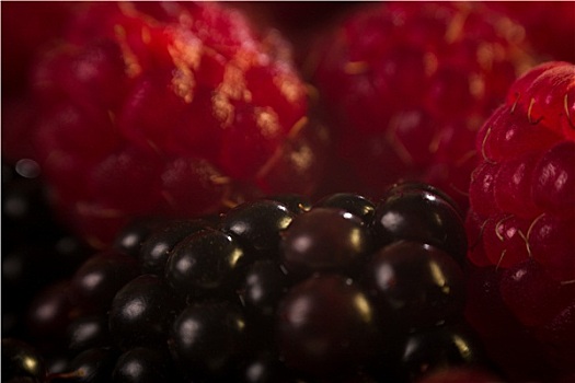 树莓,黑莓,微距