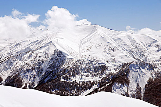 高山,雪