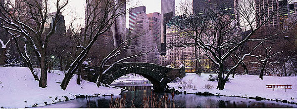 中央公园,雪中,纽约,美国