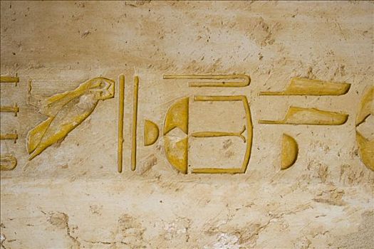 象形文字,墙壁,中心,哈采普苏特陵庙,约旦河西岸,路克索神庙,尼罗河流域,埃及,非洲