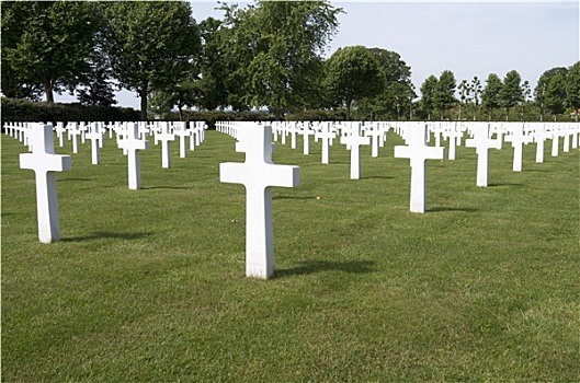荷兰,六月,军事,墓穴,军人,美洲,墓地,纪念