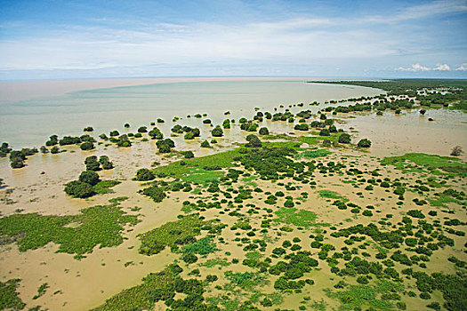 湄公河,收获,柬埔寨