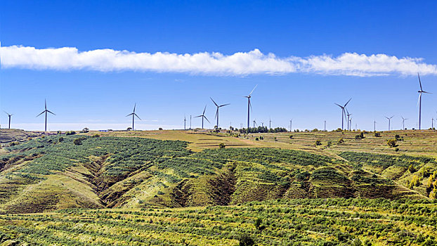 中国河北省张北草原草原天路秋季自然风光