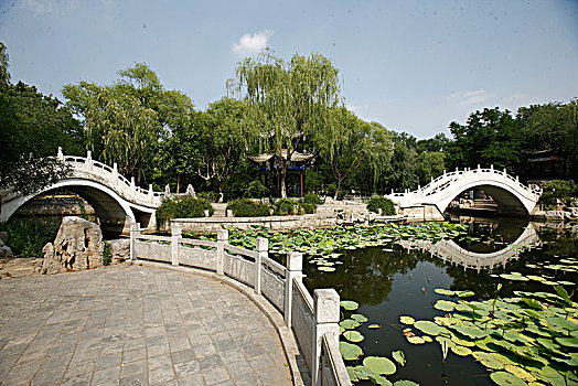 天津,西沽公园