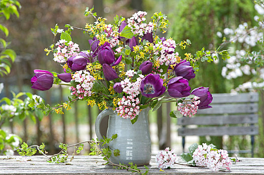 芳香,春之花束,郁金香属,紫色,王子,细枝