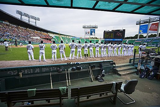 棒球赛,首尔,韩国