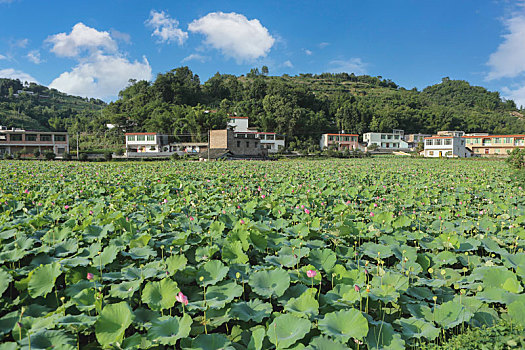 田园民居美丽乡村