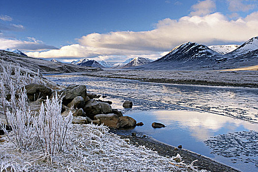白霜,霜,阿库雷里,北方,冰岛