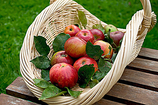 皇家,节日,红苹果,叶子,白色,柳条篮,木质,花园桌