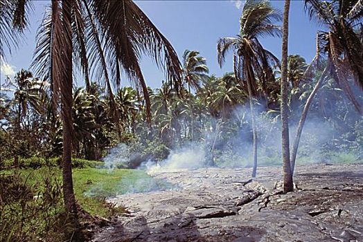 夏威夷,夏威夷大岛,卡拉帕那,火山岩,植被