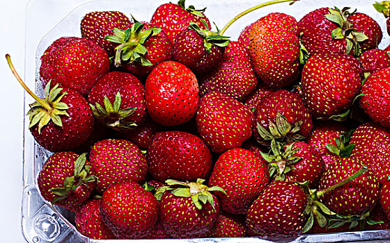 自然,草莓,塑料容器