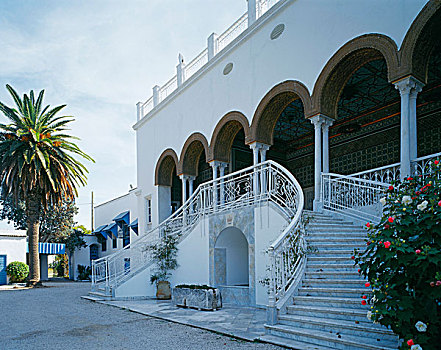 入口,大使馆,突尼斯,对称,楼梯,装饰,凉廊