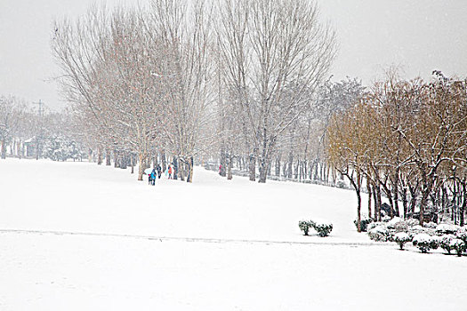 雪景