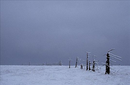 冬天,雪,暴风雪,沉闷,忧郁症,比利时,欧洲