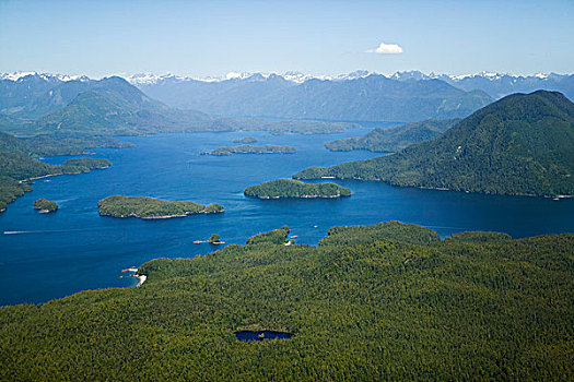 航拍,格里夸湾,西海岸,温哥华岛,不列颠哥伦比亚省,加拿大