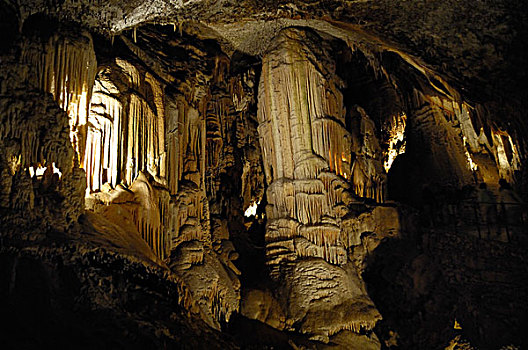 钟乳石,石笋,合并,柱子,喀斯特地貌,洞穴,波斯托伊纳,斯洛文尼亚,欧洲