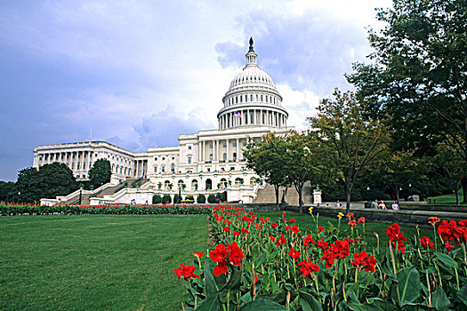 国会大厦,彩色,花,华盛顿特区