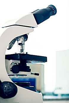 显微镜,实验室