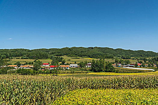 秋季山脚下的田野