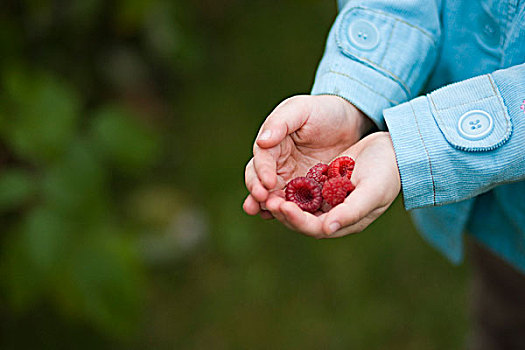 小女孩,拿着,树莓