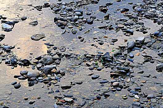 石头,海滩,围绕,水