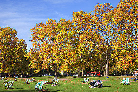 英格兰,伦敦,公园,秋叶