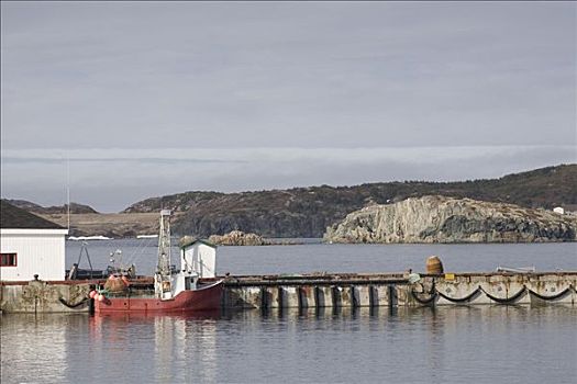 渔船,码头,特威林盖特岛,纽芬兰,加拿大