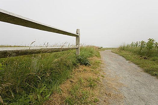 远足,小路,海岸,罗德岛,美国