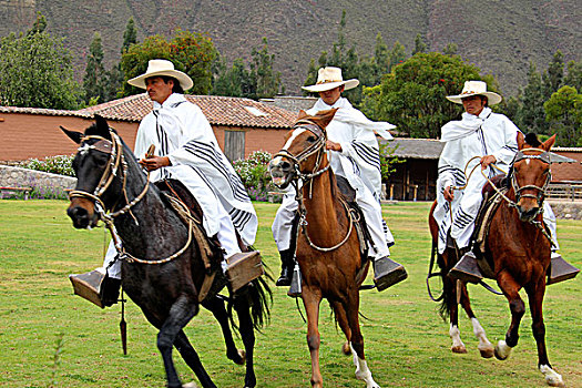 南美,秘鲁,乌鲁班巴,马展,牧场