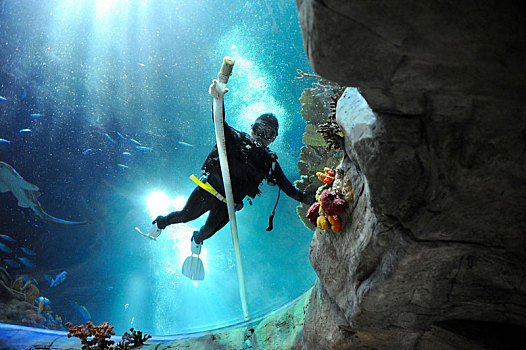 海洋公园海底水下潜水员工作中