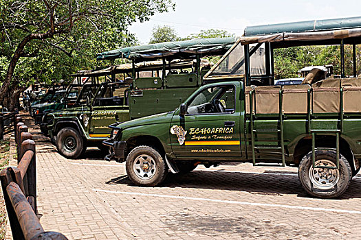 旅游,交通工具,克鲁格国家公园,南非