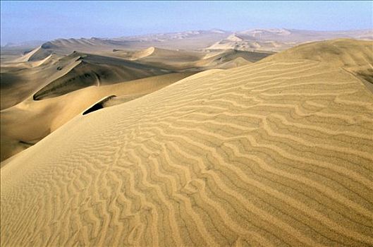 沙丘,伸展,远景,沿岸,沙漠
