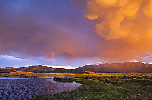 彩虹,上方,水塘,红岩,蒙大拿,美国