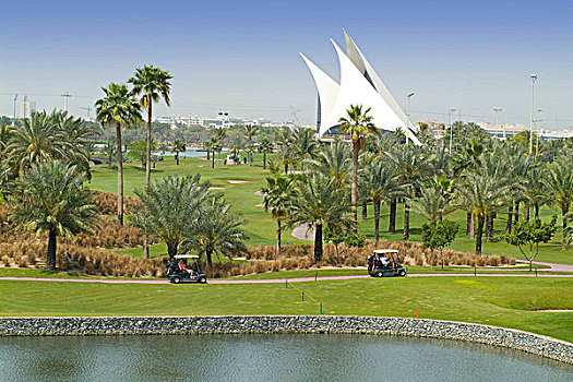 高尔夫,场地,棕榈树,树,迪拜,阿联酋,中东