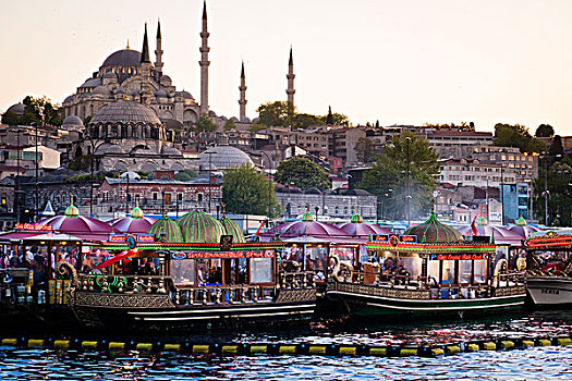 船,正面,清真寺,地区,伊斯坦布尔,土耳其