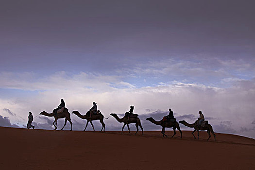 非洲,北非,摩洛哥,撒哈拉沙漠,梅如卡,却比沙丘,游客,骑,骆驼,雨