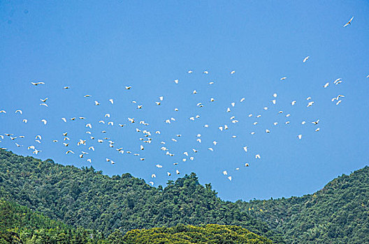 桂林山岭风光