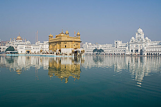 反射,庙宇,水中,金庙,印度,旁遮普