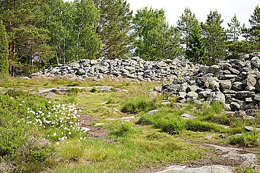 手推车,石头,布胡斯,瑞典,欧洲